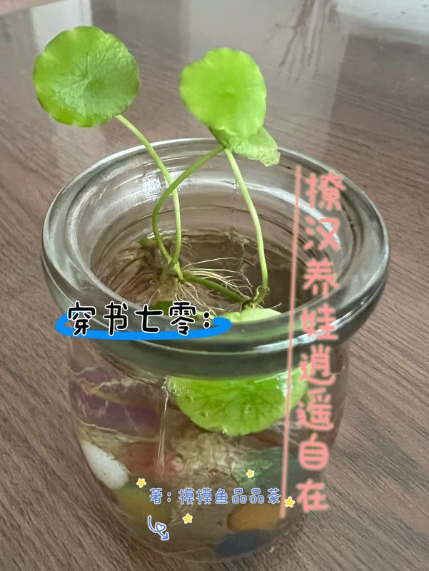 不归春色最简单三个情节