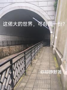 机长顾沉